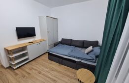 Apartament 1 cameră | 35 mp | Baciu | Etaj 1 | Ansamblu nou 2023
