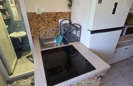 Apartament 1 cameră | 24 mp | Mănăștur | Etaj 1/4 | 2 CF-uri | PLATĂ DOAR CASH