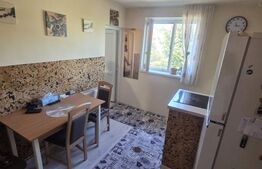 Apartament 1 cameră | 24 mp | Mănăștur | Etaj 1/4 | 2 CF-uri | PLATĂ DOAR CASH