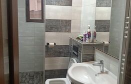 Casa de inchiriat, 7 camere, 350 mp, zona Racadau 