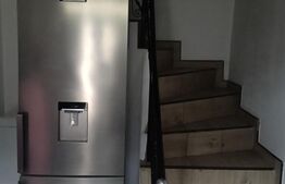 Casa de inchiriat, 7 camere, 350 mp, zona Racadau 
