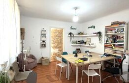 Casa de 100 mp, teren 450 mp, pet friendly, zona strazii Paris