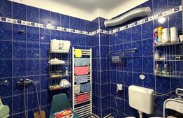 Casa de 100 mp, teren 450 mp, pet friendly, zona strazii Paris