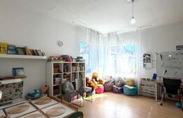 Casa de 100 mp, teren 450 mp, pet friendly, zona strazii Paris