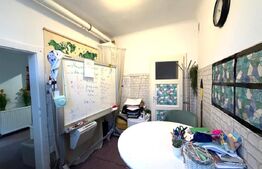 Casa de 100 mp, teren 450 mp, pet friendly, zona strazii Paris