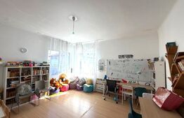 Casa/ activitate birou, 100 mp, teren 450 mp, pet friendly, zona strazii Paris