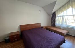 Vilă exclusivistă de închiriat | Panoramă superbă | Andrei Mureșanu