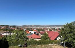Vilă exclusivistă de închiriat | Panoramă superbă | Andrei Mureșanu