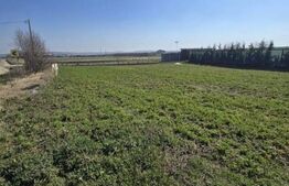 Teren intravilan, 900 mp, zona Luna - Luncani