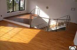 Spatiu de birouri 230 mp  de inchiriat in Cluj Napoca.Pret AVANTAJOS. Finisat