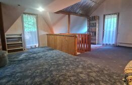 Casa individuala cu 4 camere, 2400 mp de teren, loc Micesti