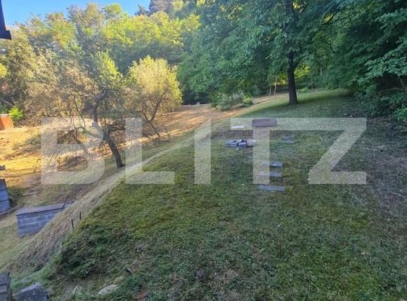 Casa de vânzare 4 camere Miceşti - 204378CV | BLITZ Cluj-Napoca | Poza13