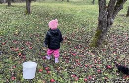 Oaza de liniste:Casa individuala cu livada roditorare si teren generos de 2750mp