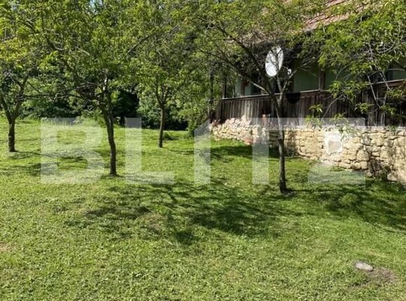 Casa de vânzare 3 camere Pietroasa - 204407CV | BLITZ Cluj-Napoca | Poza1