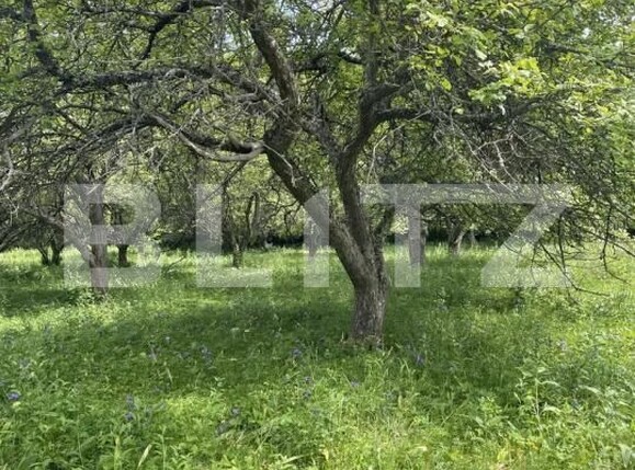 Casa de vânzare 3 camere Pietroasa - 204407CV | BLITZ Cluj-Napoca | Poza2