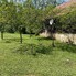 Casa de vânzare 3 camere Pietroasa - 204407CV - Poza 1 din 5 | BLITZ Cluj-Napoca | Poza5
