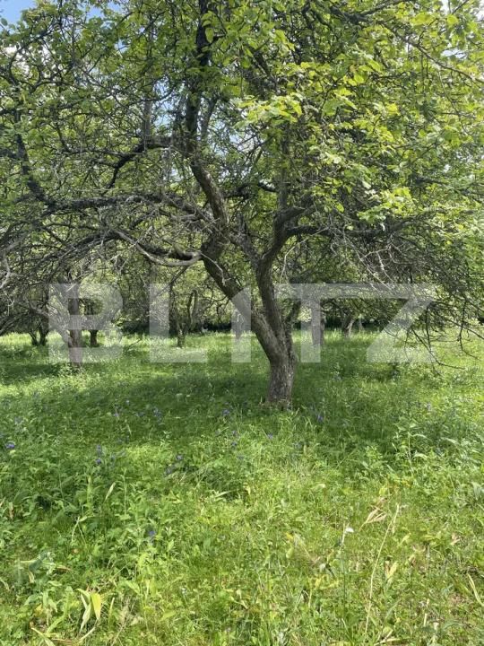 Casa de vânzare 3 camere Pietroasa - 204407CV | BLITZ Cluj-Napoca | Poza2