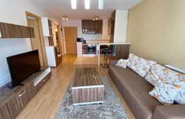  Apartament modern, 2 camere, balcon, A.C., parcare , pet friendly, Viva City