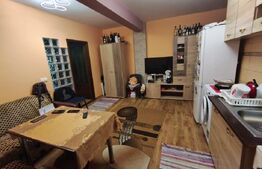Apartament 2 camere, 43 mp, zona Manastur 