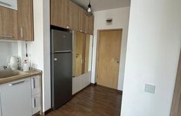 Apartament 2 camere, 50 mp, parcare, petfriendly, zona Somesului