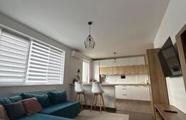 Apartament 2 camere, 50 mp, parcare, petfriendly, zona Somesului