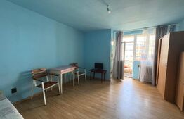 Ideal Studenți UMF & USAMV! Garsonieră deco 34 mp + Balcon , Zona BIG Manastur