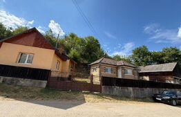 Casa individuala, 65 mp, teren 1800 mp, zona Izvorul Crisului