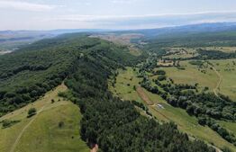 Teren de vanzare, 3710 mp, zona Agarbiciu 
