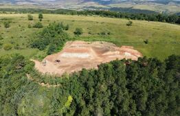 Teren de vanzare, 3710 mp, zona Agarbiciu 