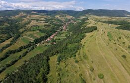 Teren de vanzare, 3710 mp, zona Agarbiciu 