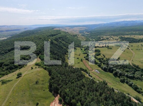 Teren de vânzare Dealu Negru - 204489TV | BLITZ Cluj-Napoca | Poza10