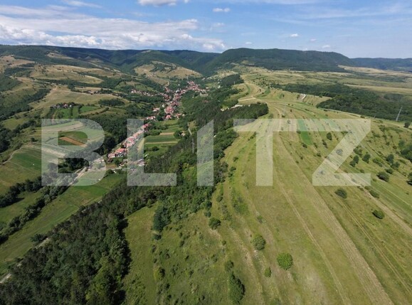 Teren de vânzare Dealu Negru - 204489TV | BLITZ Cluj-Napoca | Poza9