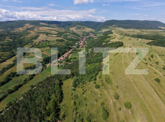 Teren de vânzare Dealu Negru - 204489TV | BLITZ Cluj-Napoca | Poza8