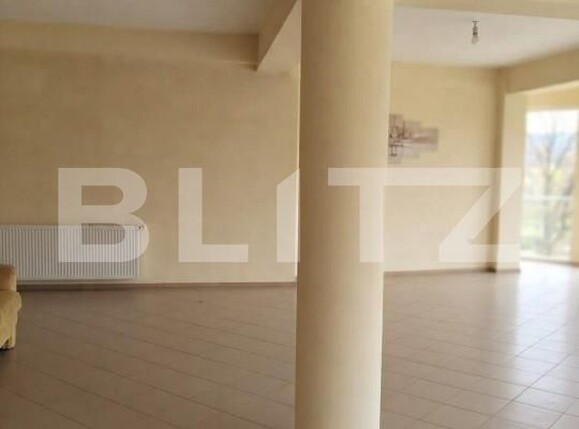 Spațiu comercial de închiriat Aurel Vlaicu - 204516SIC | BLITZ Brașov | Poza2