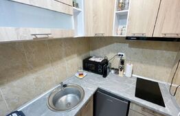 Apartament cu 2 camere, 50 mp, pet friendly, zona Centrala