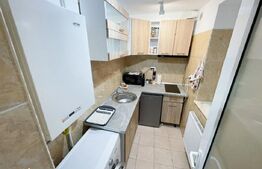 Apartament cu 2 camere, 50 mp, pet friendly, zona Centrala