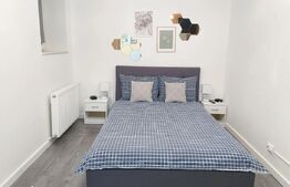 Apartament cu 2 camere, 50 mp, pet friendly, zona Centrala