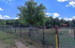 Teren de vanzare, 6500 mp cu livada, zona Mihai Viteazu
