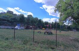 Teren de vanzare, 6500 mp cu livada, zona Mihai Viteazu