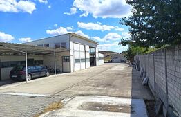 Casa spatioasa P+M, 233 mp, teren de 2518 mp, zona Mihai Viteazu 