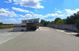 Casa spatioasa P+M, 233 mp, teren de 2518 mp, zona Mihai Viteazu 
