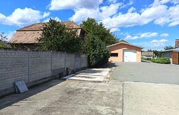Casa spatioasa P+M, 233 mp, teren de 2518 mp, zona Mihai Viteazu 