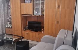 Apartament cu 1 camera, 25.18 mp, zona Central