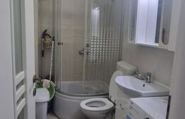 Apartament cu 1 camera, 25.18 mp, zona Central