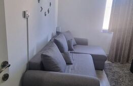 Apartament cu 1 camera, 25.18 mp, zona Central