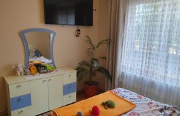 Apartament 3 camere, etaj 1 , loc de parcare , mobilat, Calea Bucuresti 