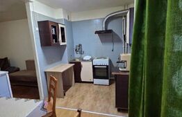 Garsoniera de vanzare, 28.30 mp, zona Manastur - str. Parang 