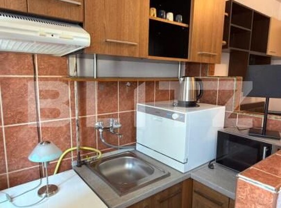 Garsonieră de închiriat Dambul Rotund - 204669AI | BLITZ Cluj-Napoca | Poza3