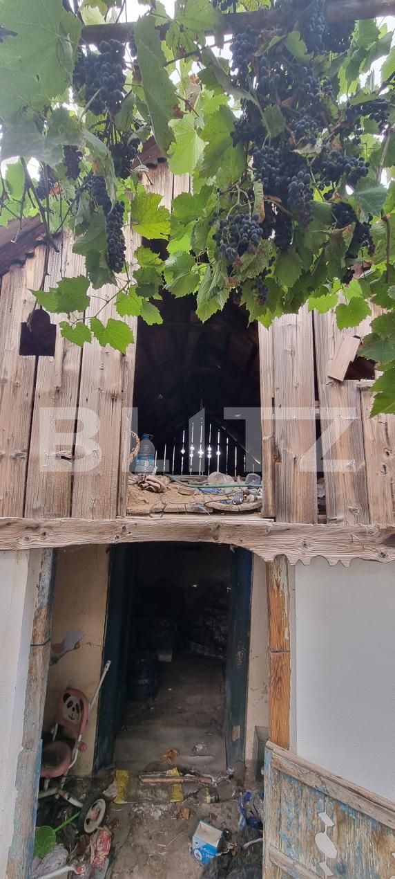 Casa de vânzare 2 camere Luncani - 204716CV | BLITZ Cluj-Napoca | Poza6