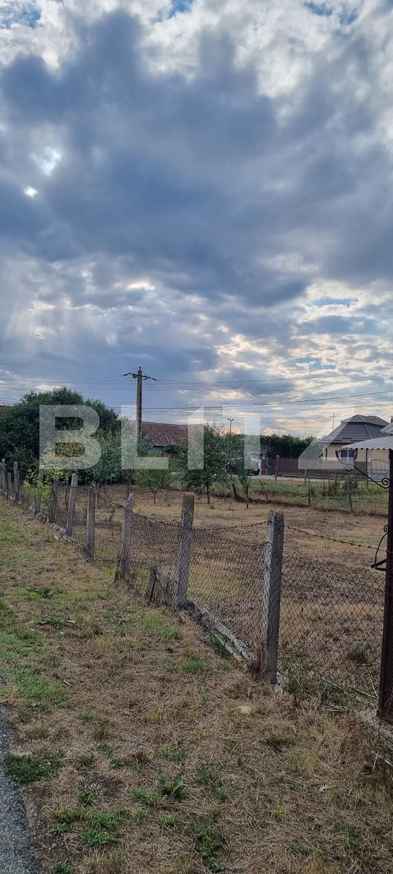 Casa de vânzare 2 camere Luncani - 204716CV | BLITZ Cluj-Napoca | Poza5